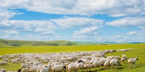 ?；访? decoding=