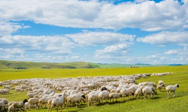 ?；访? decoding=